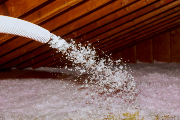 Best Commercial Insulation Services  in Delmont, PA